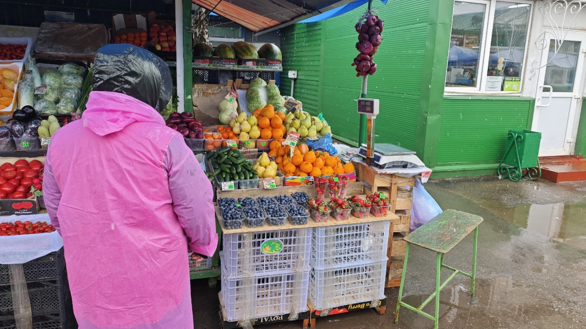 В Костроме дешевую клубнику будут продавать прямо из машин