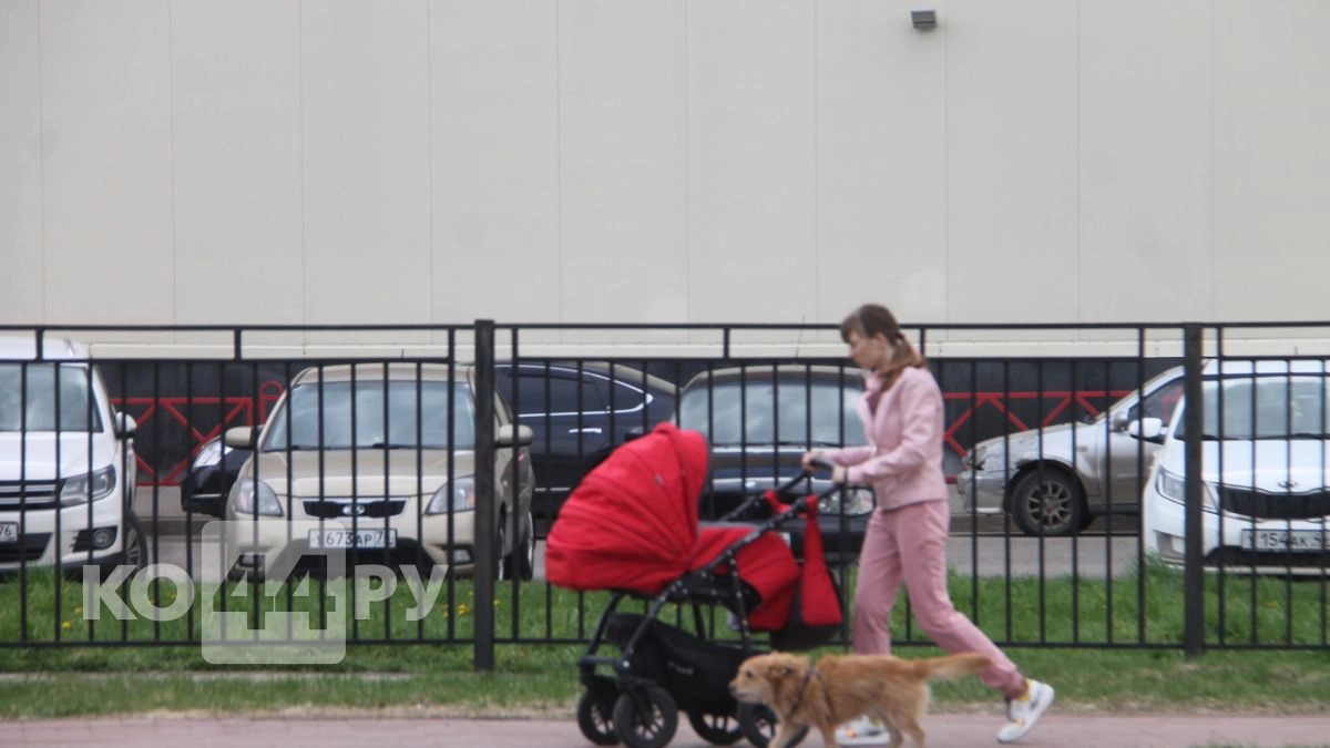  В Костроме компании начали платить сотрудникам за детей и ипотеку