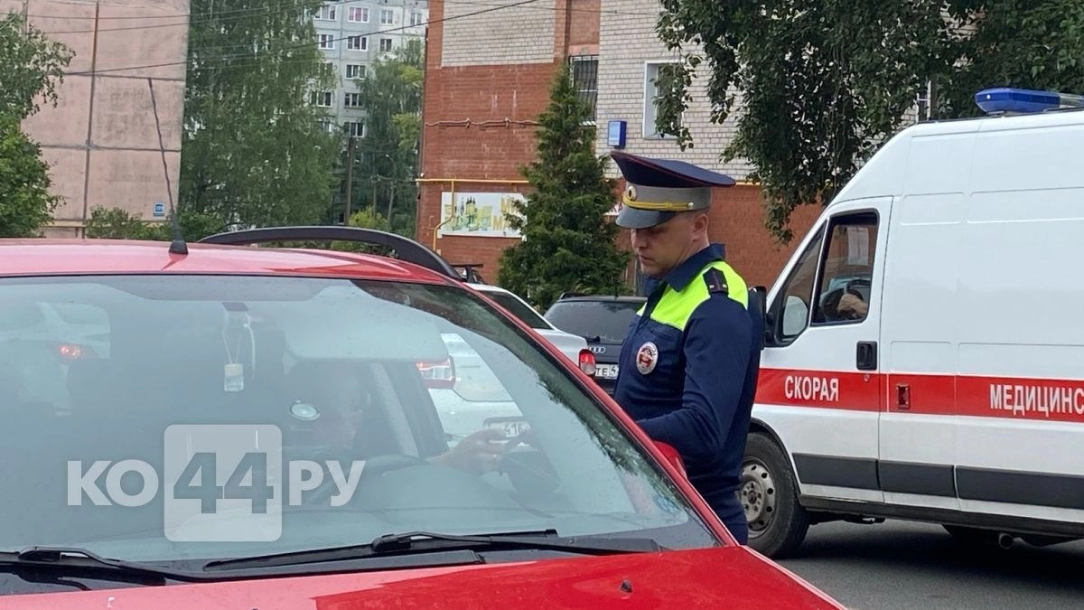 Одна вещь в багажнике - и минус 25 000 рублей: ГИБДД начала жёсткие проверки водителей