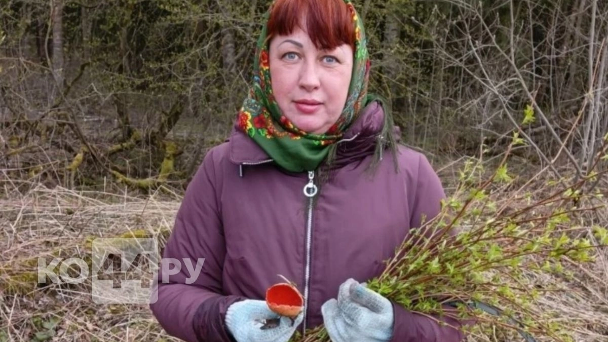 Удивительно красивые и вкусные грибы заполонили костромские леса