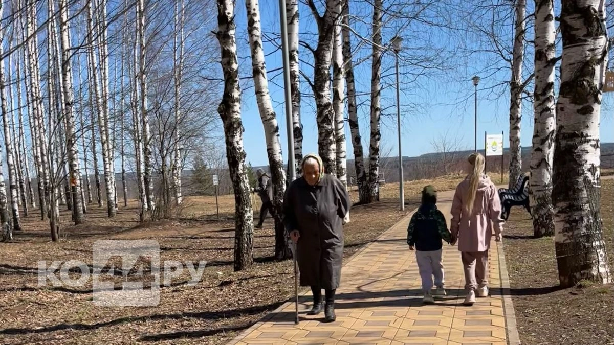 Пенсия вовремя не придет: СФР меняет график выплат из-за майских реформ - проверьте свою дату по номеру СНИЛС