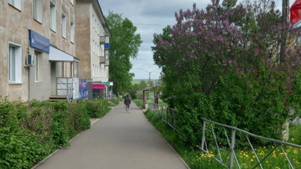 За сорванную сирень костромичей могут арестовать