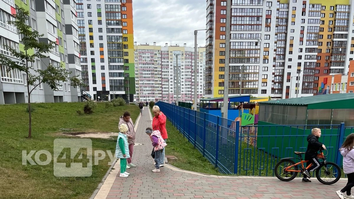 Костромичи тратят маткапитал за компьютером