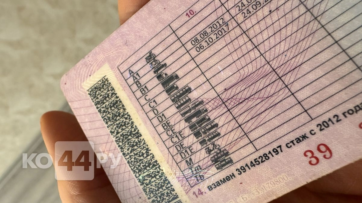 Сдать на права стало сложнее: с мая ввели жесткий срок на практику - 60 дней и пересдача