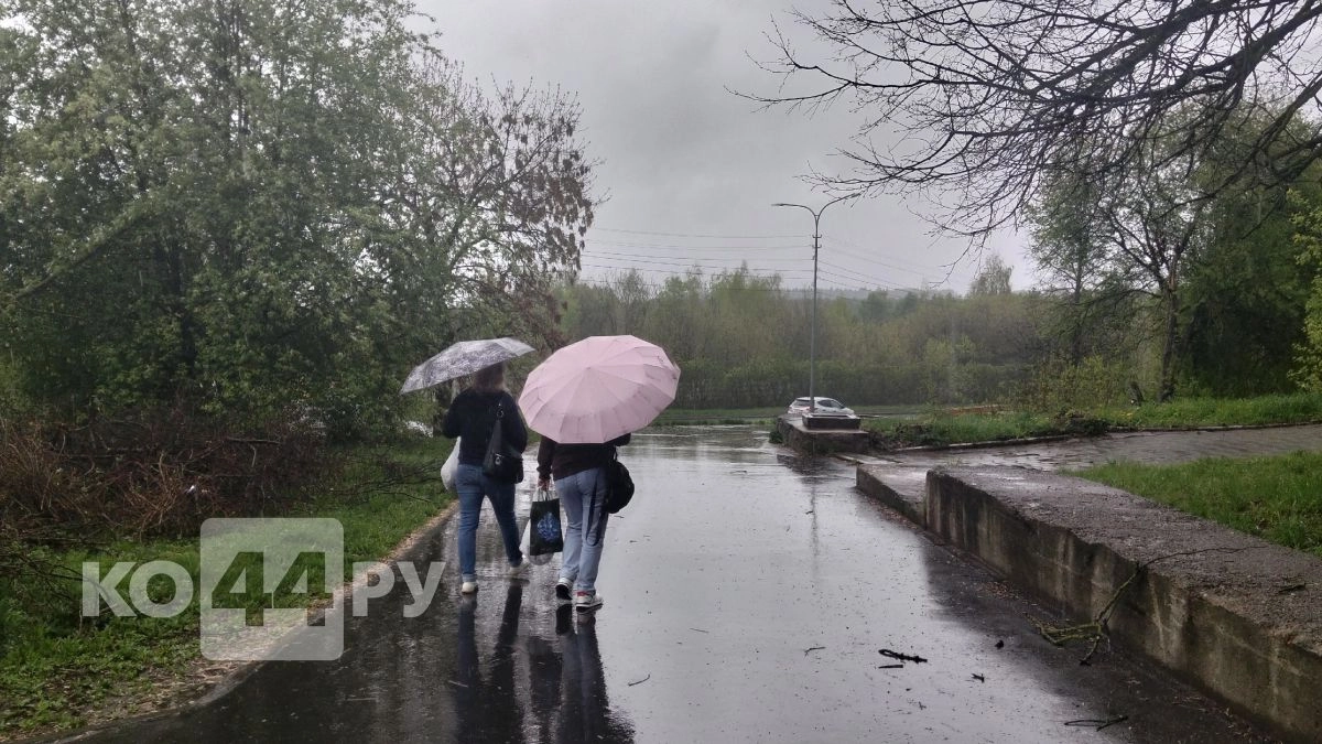 Синоптики изменили прогноз на июнь: на смену засухе придет "тропический коридор" - дожди будут лить стеной 20 дней подряд