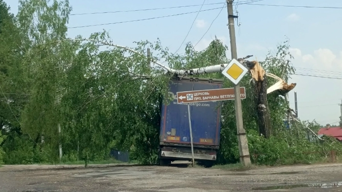 Под Костромой дерево обрушилось прямо на фуру из-за грозы