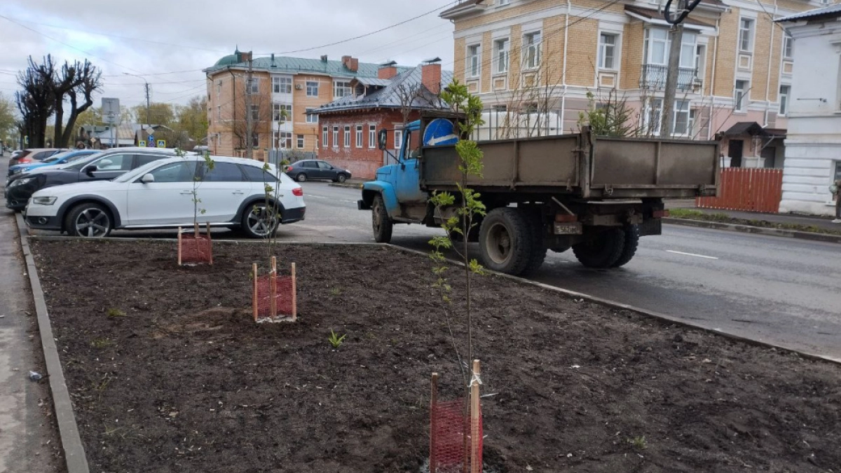 Более 100 берёз появилось в рощах на Беленогова и Никитской и 190 кустов сирени на Московской заставе