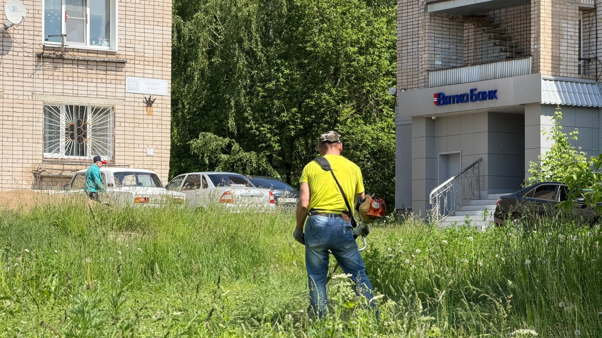 Сорняки засохнут вместе с корнем прямо на грядке: полейте междурядья этим раствором до 18 июня