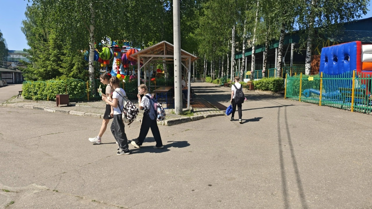 Костромичей замучила белая метель из тополиного пуха в июне