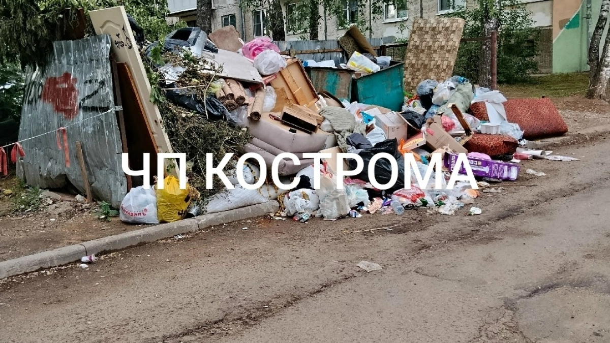 Кострому по выходным заваливает мусором 
