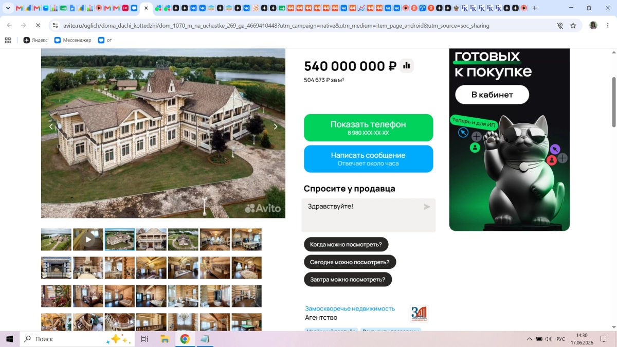 Дворец за 540 миллионов продают под боком Костромской области