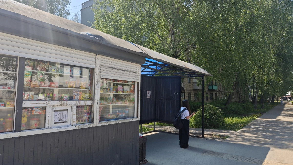 В Костромской области наступило астрономическое лето