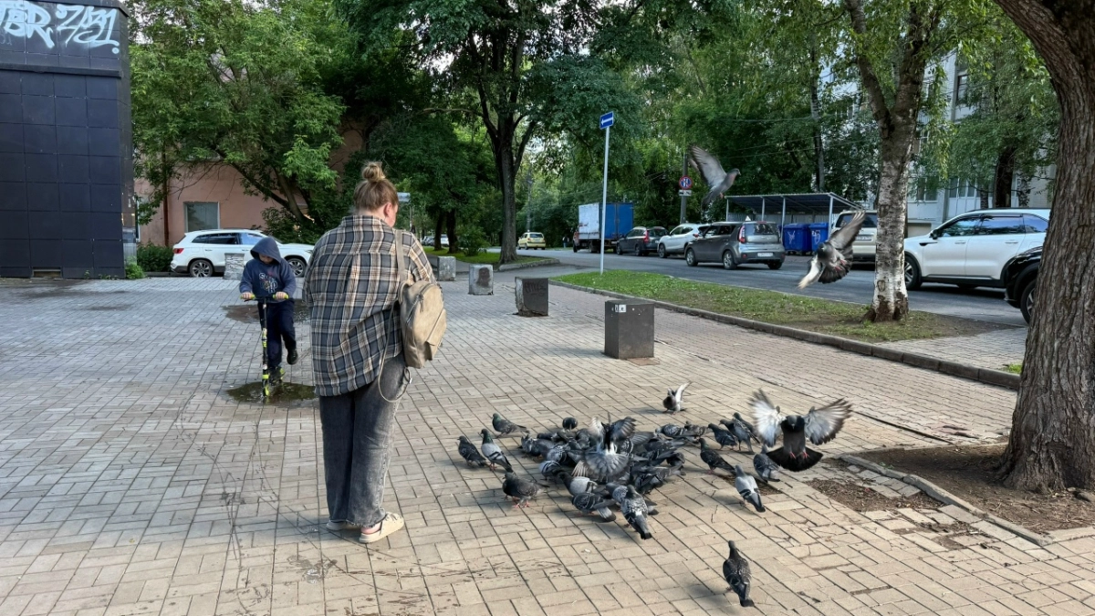 В Костроме посчитали бедных людей