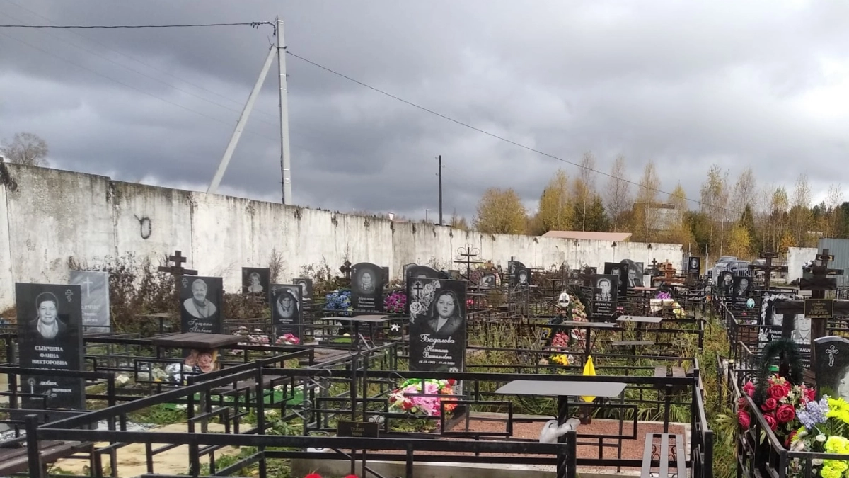 В Кологриве на кладбище орудовал пожилой преступник