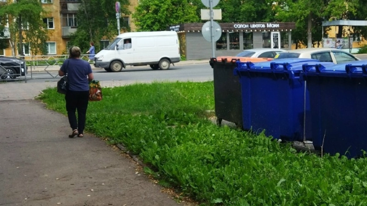 Беспилотники в Костроме выслеживают нарушителей чистоты