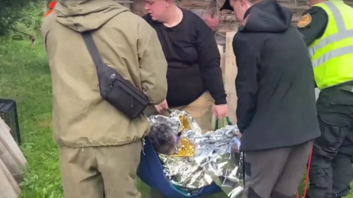 Пропавшую в лесу Костромы пенсионерку с переохлаждением нашла служебная собака