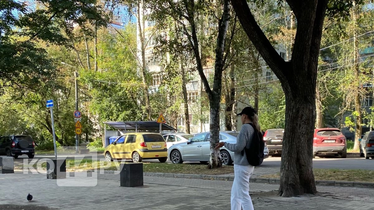 Синоптики дали прогноз на август в Костроме