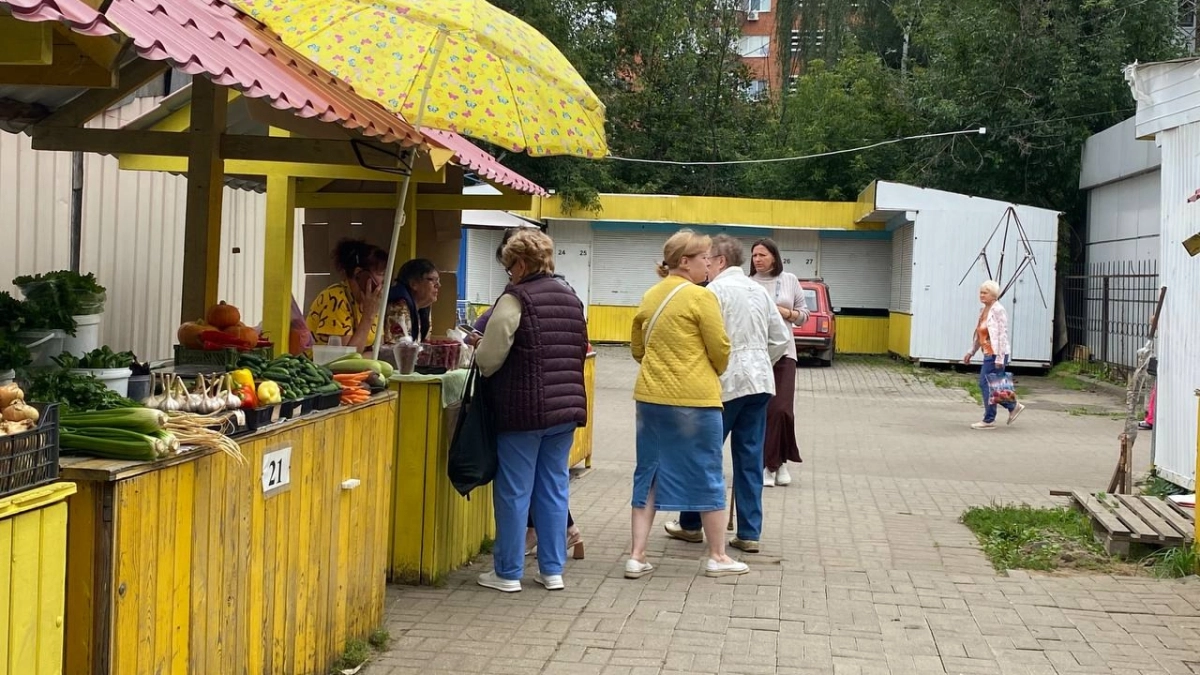Чиновники уличили костромичей в ложной бедности ради пособий