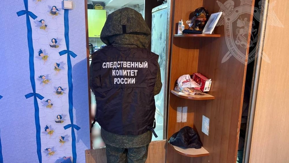 Костромичка зарезала ножом любовника и сядет на 11 лет
