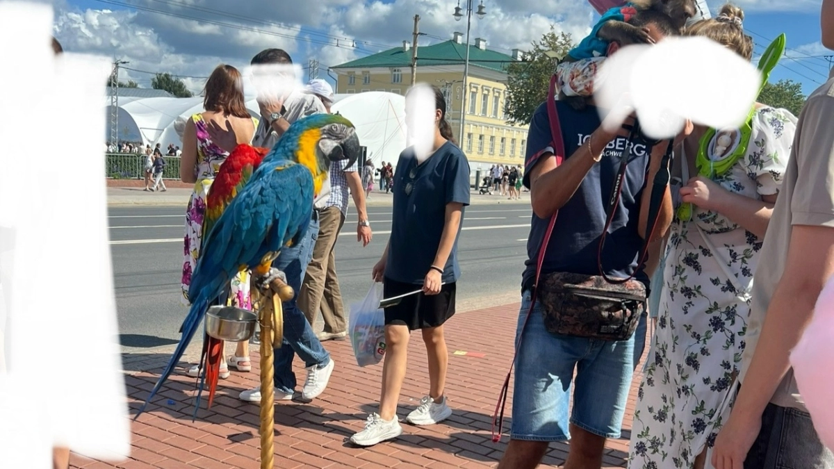 В Костроме на Дне города животных держали в духоте и без воды