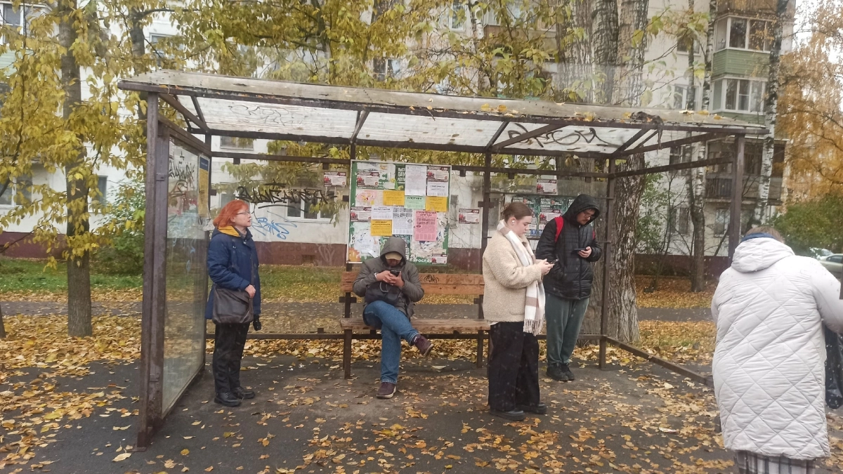 Прогноз на осень по месяцам в Костроме составили синоптики