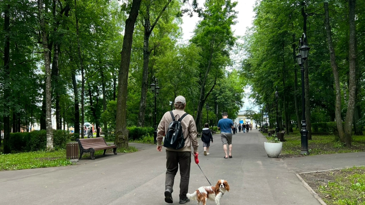 В Костроме собак выгуливают на детском футбольном поле