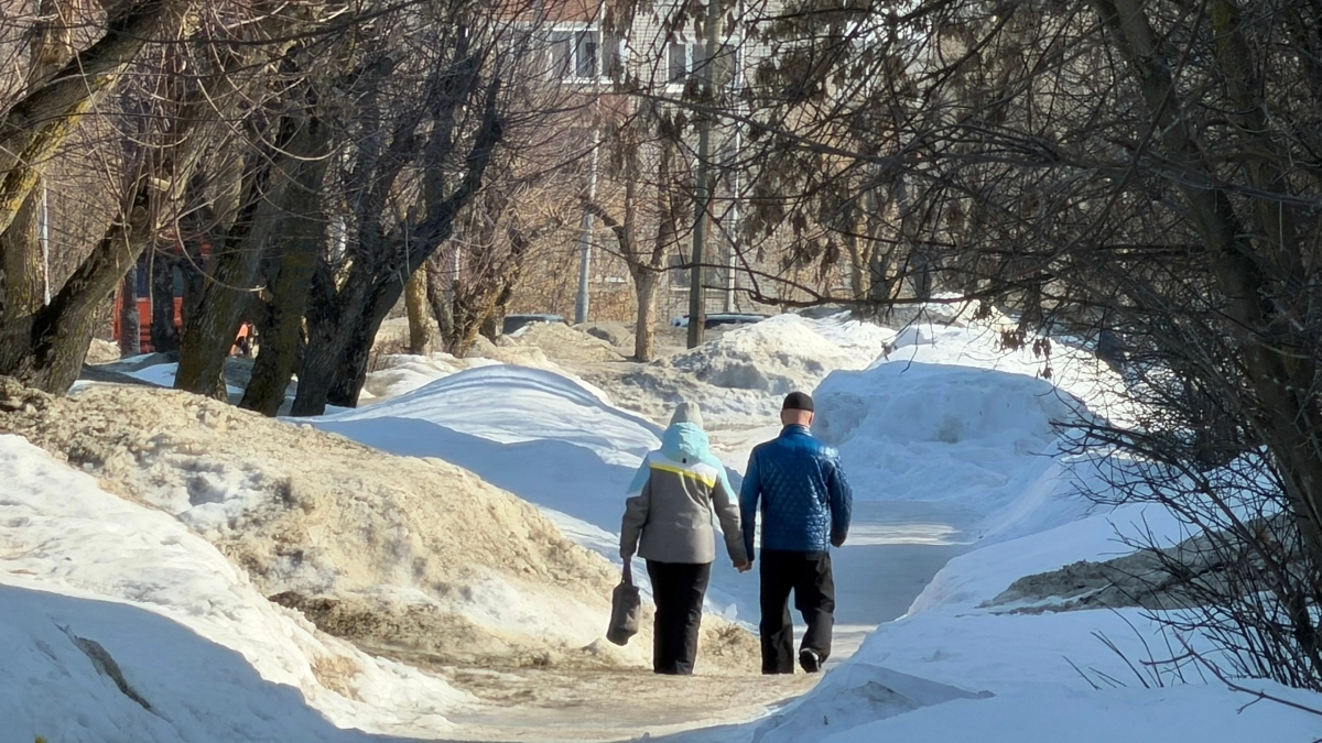 Какой будет зима в Костроме: синоптики дали прогноз на три месяца