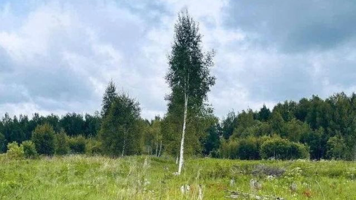 Взрывотехники провели обследование обломков БПЛА в Красносельском районе