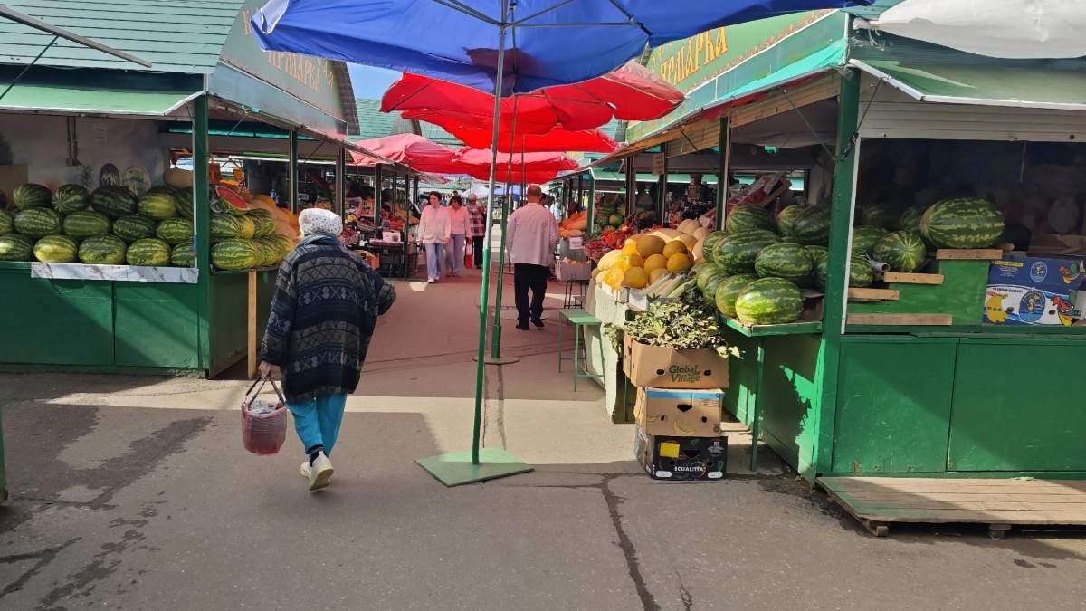 Сколько стоят арбузы и дыни на рынке в Костроме