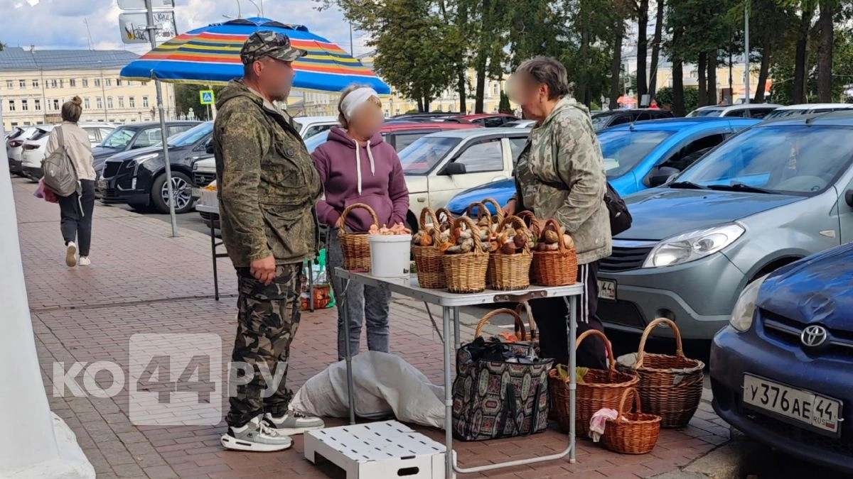  Какие грибы продают и сколько они стоят на рынках Костромы