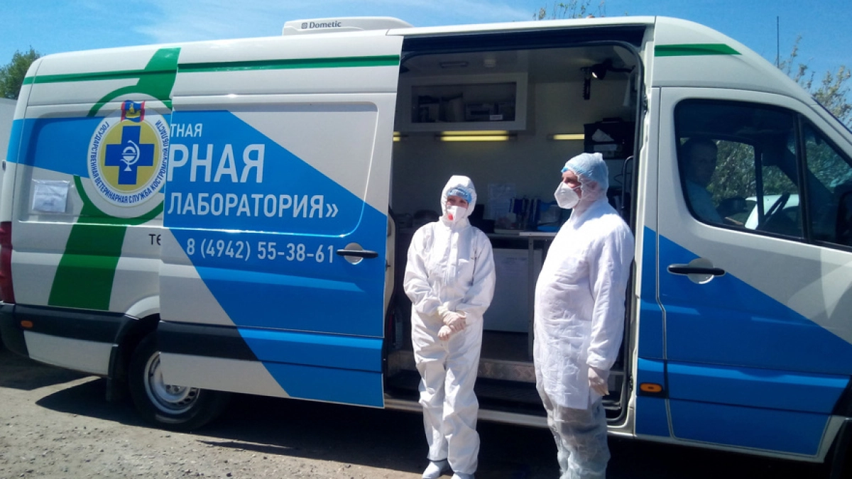 В Костроме объявили массовую бесплатную вакцинацию животных