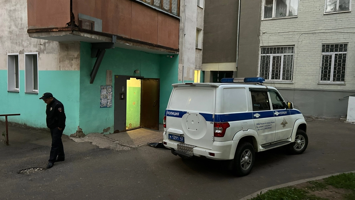 Пьяная москвичка обобрала костромскую фирму на 5 млн рублей и напала на полицию
