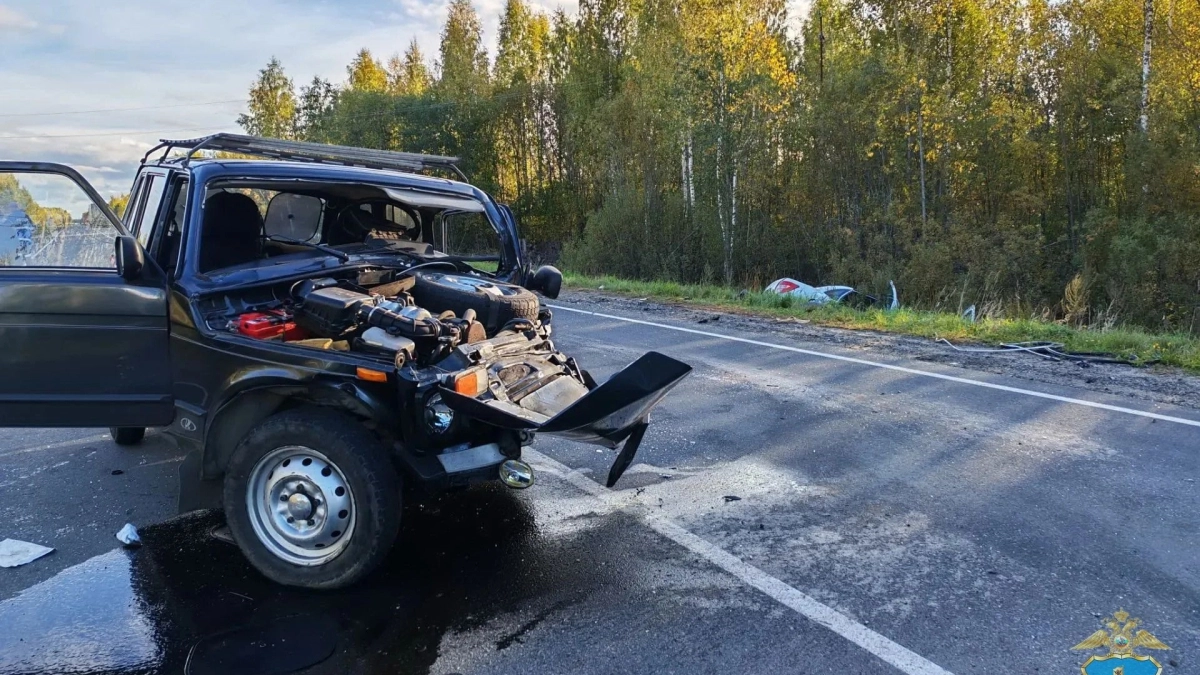 В обломках машин под Шарьей погиб мужчина и ранена женщина