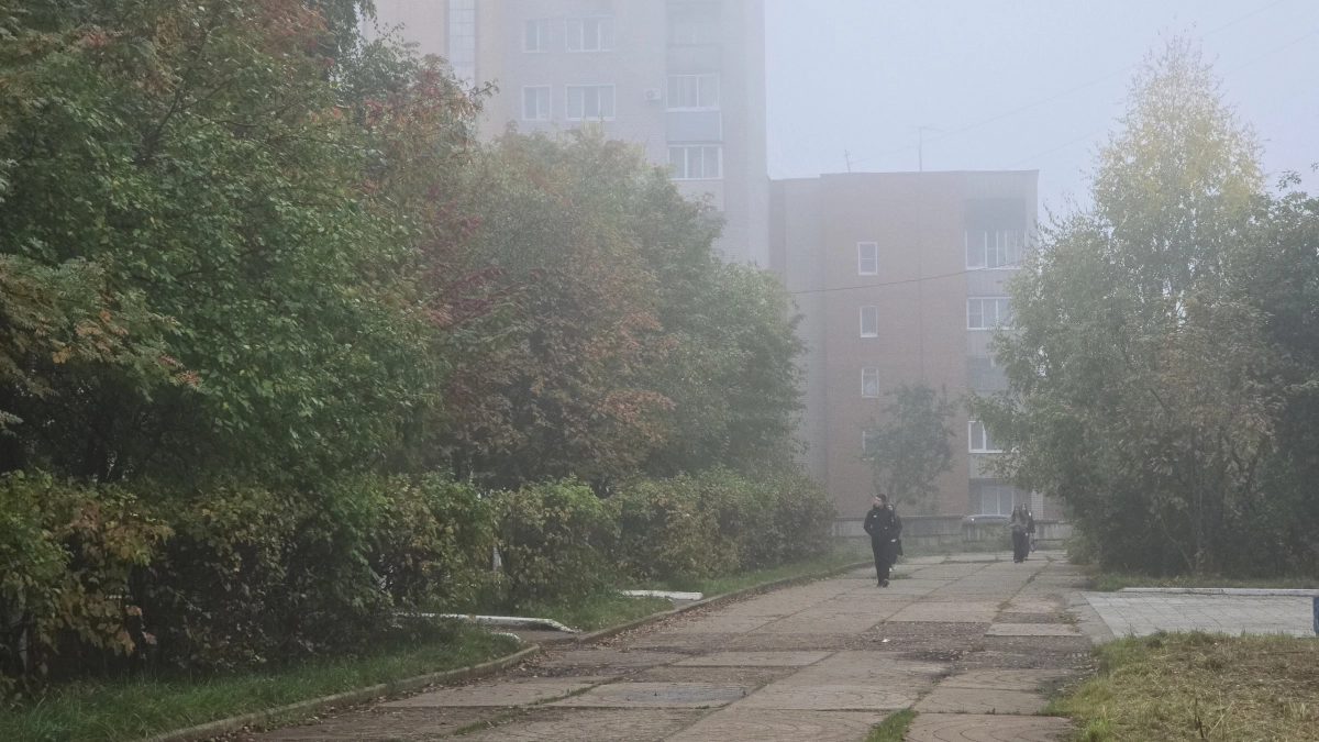 Прогноз на октябрь в Костроме сделали синоптики