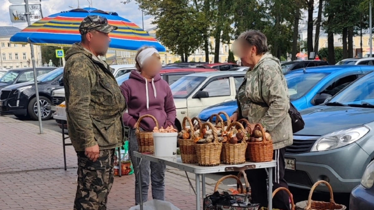 Сколько стоят свежие грибы в Костроме 