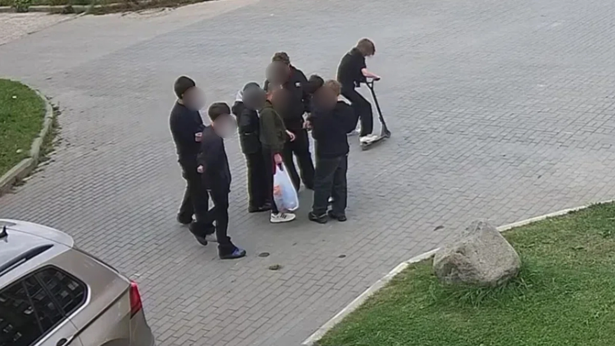 В Костроме дети сыграли в футбол обедом бездомных собак из приюта