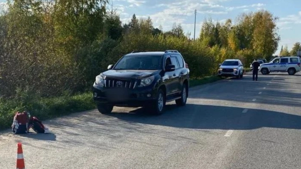 В Чухломе раненую на дороге девочку увезла скорая