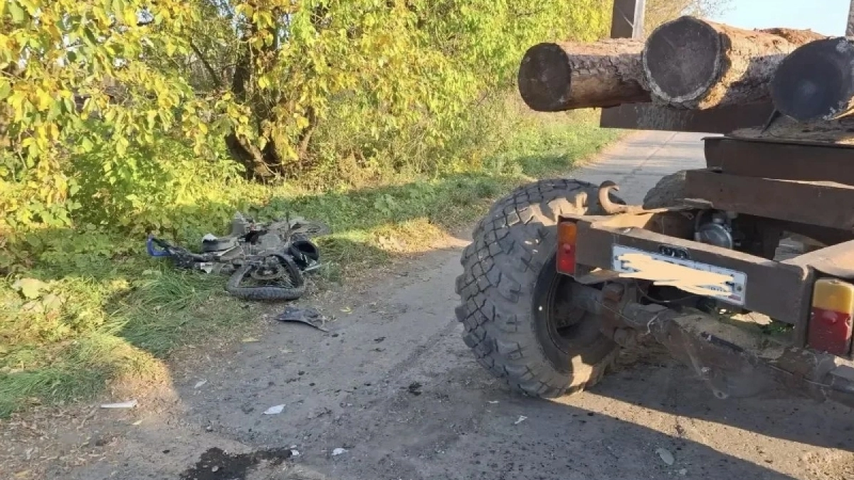 Двое детей ранены в Костромской области