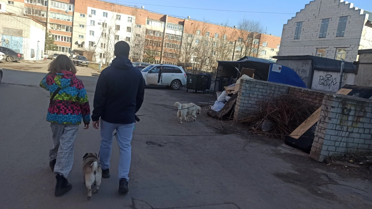 Прокуратура заявила о плохом вывозе мусора в Костромской области