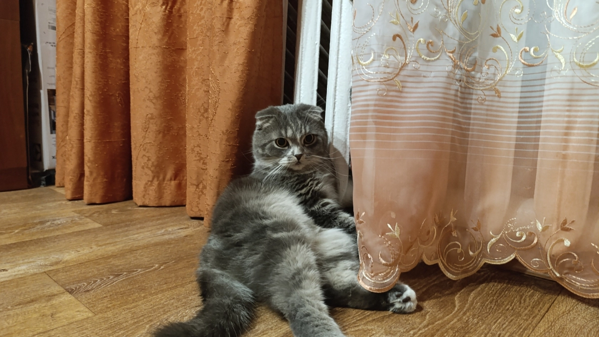 Отопление подключать в Костроме будут до 14 октября
