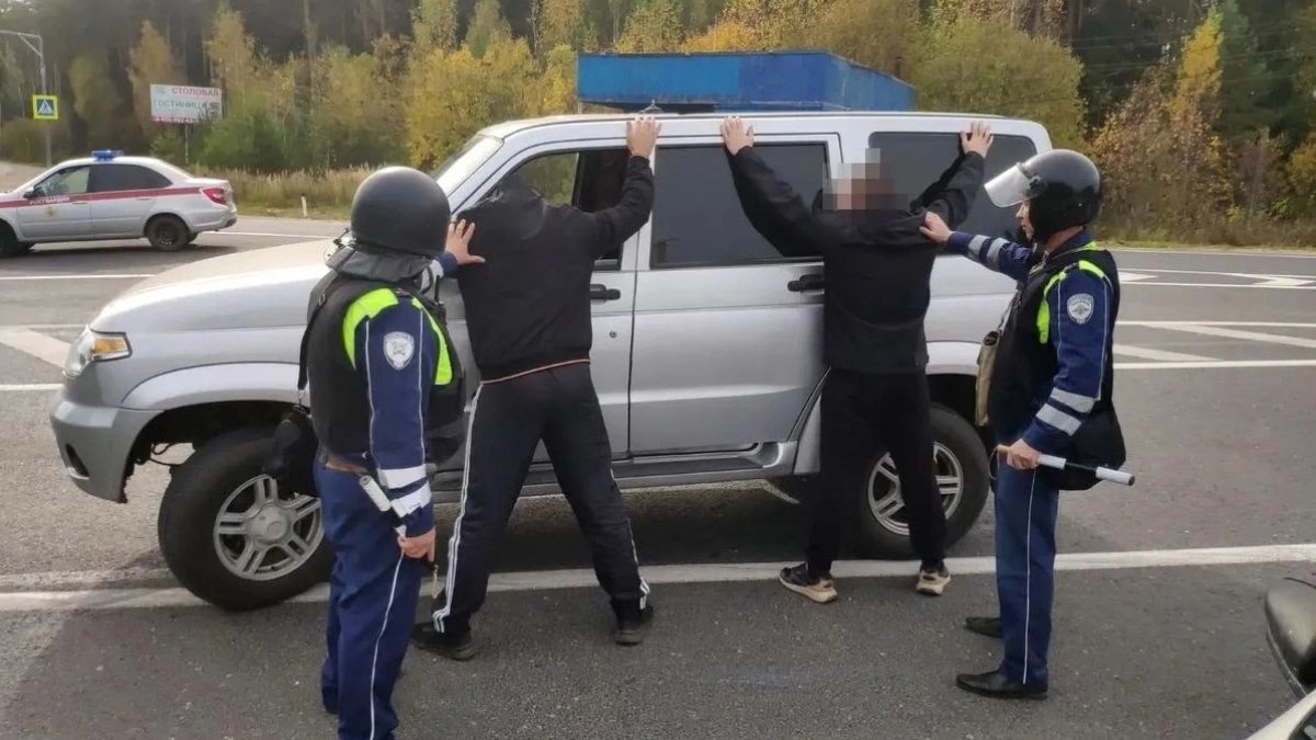 ФСБ повязала в Костроме преступную группу черных лесорубов