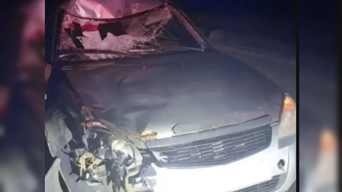 В Костроме пешеход пробил лобовое стекло авто и погиб