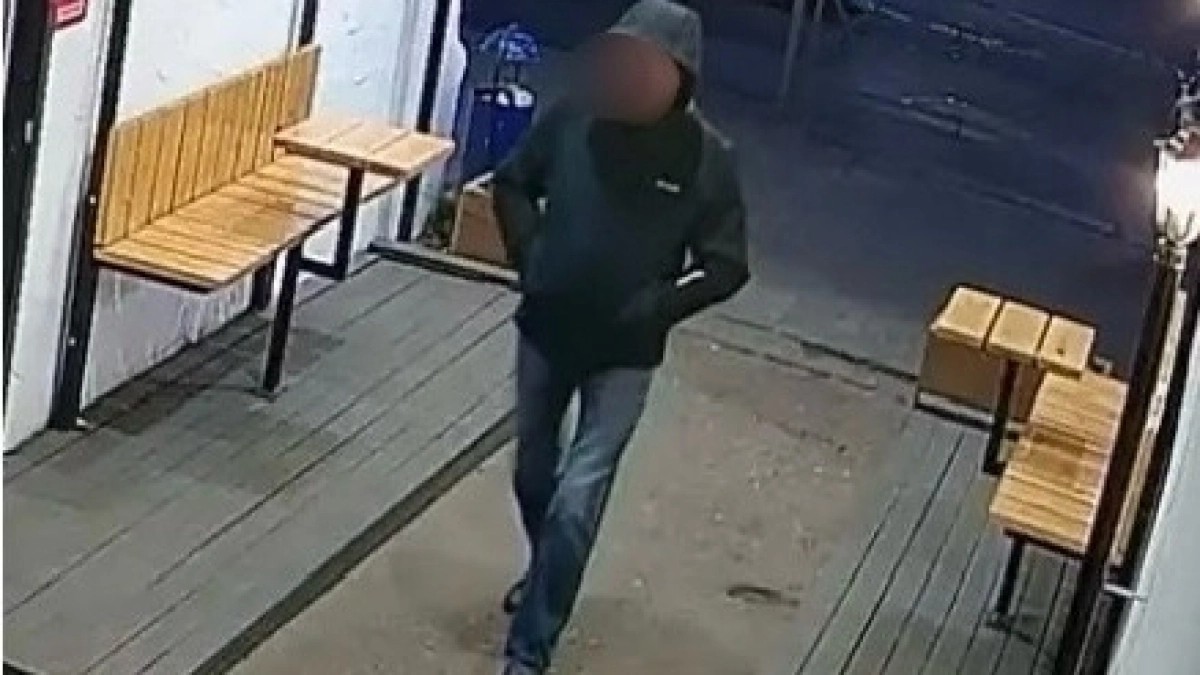 Полицейские показали кадры кражи мазайского зайца в Костроме