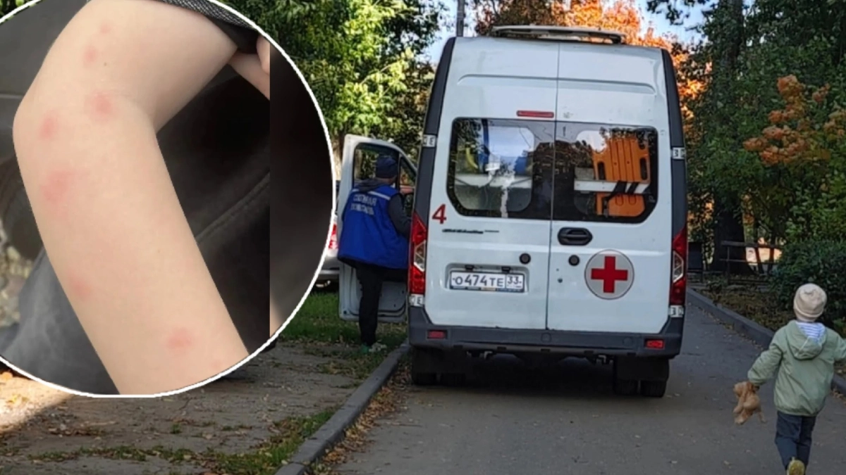 В Нерехте ребенка выписали из больницы с 19 укусами насекомых