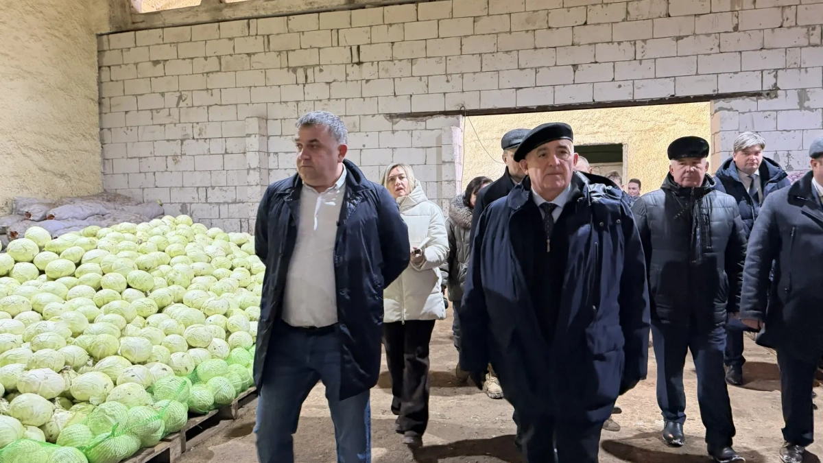 Ситников похвалил фермеров за картошку по 20 рублей