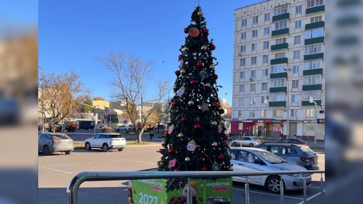 На улицах Костромы появились первые новогодние елки