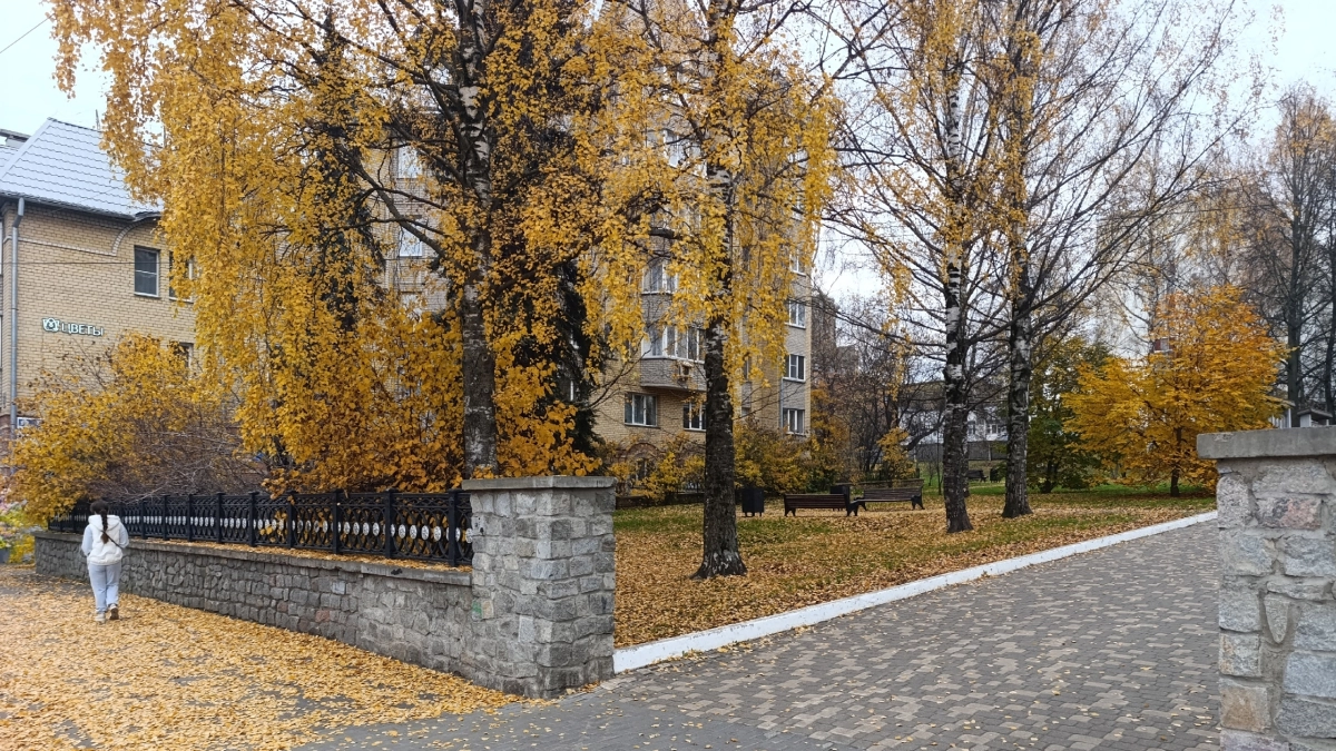 Мошенники начали подстраивать схемы обмана под сезонные поводы осени