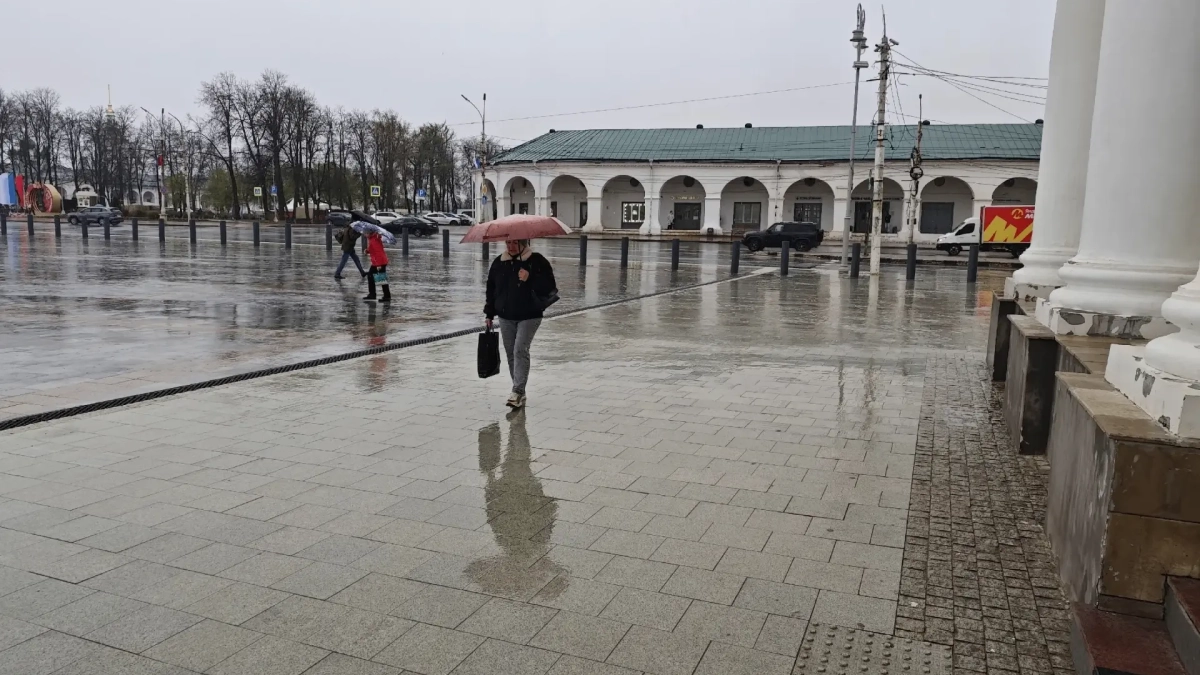Торговые ряды Костромской области продадут на этой неделе