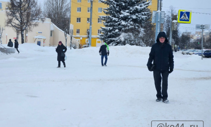 Вояж в Антарктиду, обезьянья оспа и очереди в больницах: самые читаемые новости в Костроме за эту неделю 