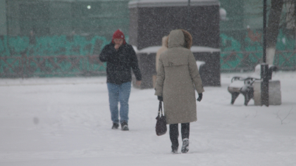 Полный откат к зиме пообещали синоптики в Костроме